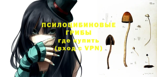 ПСИЛОЦИБИНОВЫЕ ГРИБЫ Алексеевка