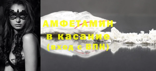 стафф Алзамай