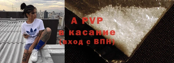 стафф Алзамай