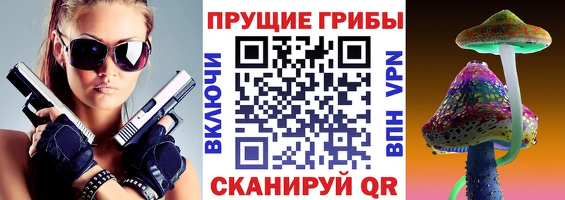 Псилоцибиновые грибы Magic Shrooms  блэк спрут ССЫЛКА  Солнечногорск 